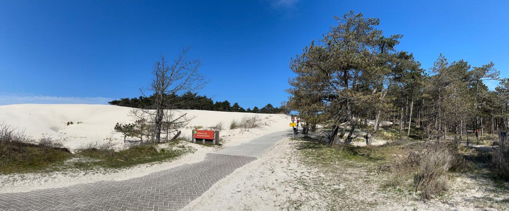 Duinstudio Bergen Eksteriør billede